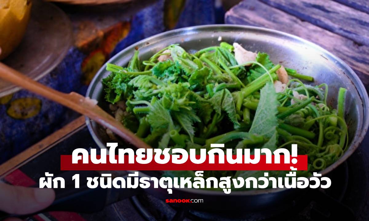 ผัก 1 ชนิดมีธาตุเหล็กสูงกว่าเนื้อวัว จีนขนานนาม \