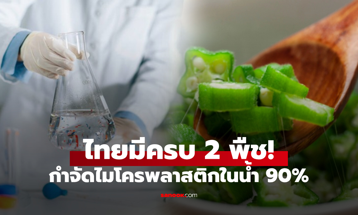 เซอร์ไพรส์กับ 2 พืชที่ช่วย \