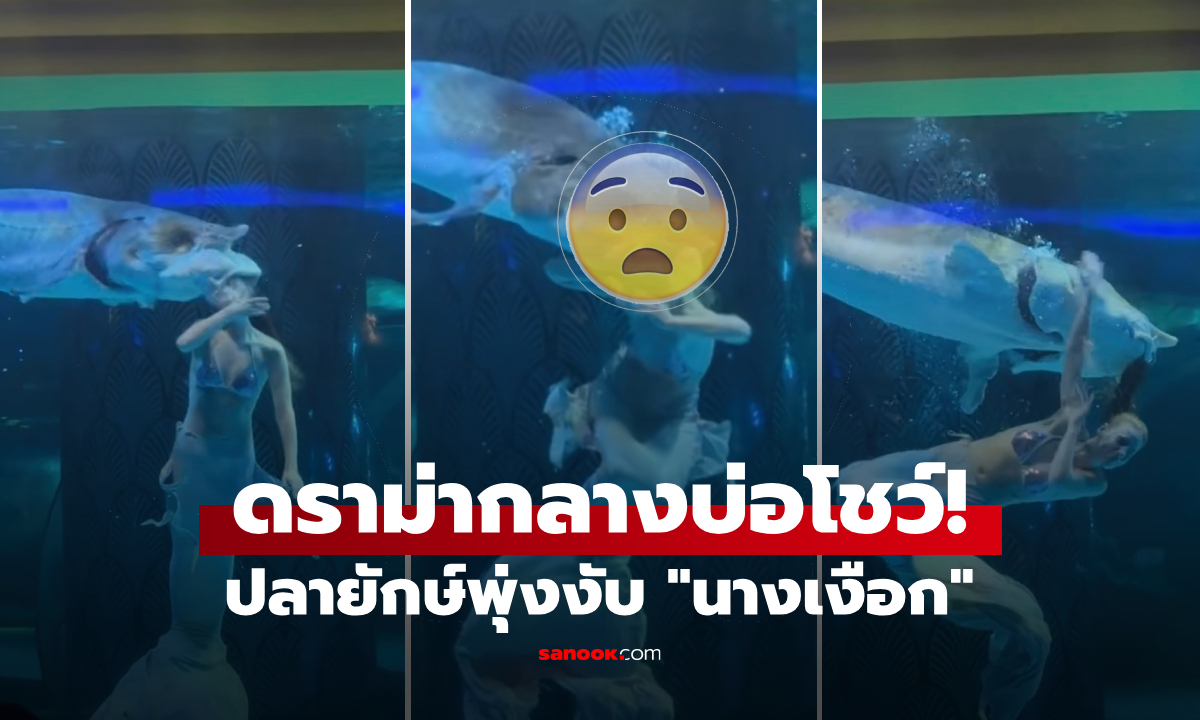 คลิปช็อก \