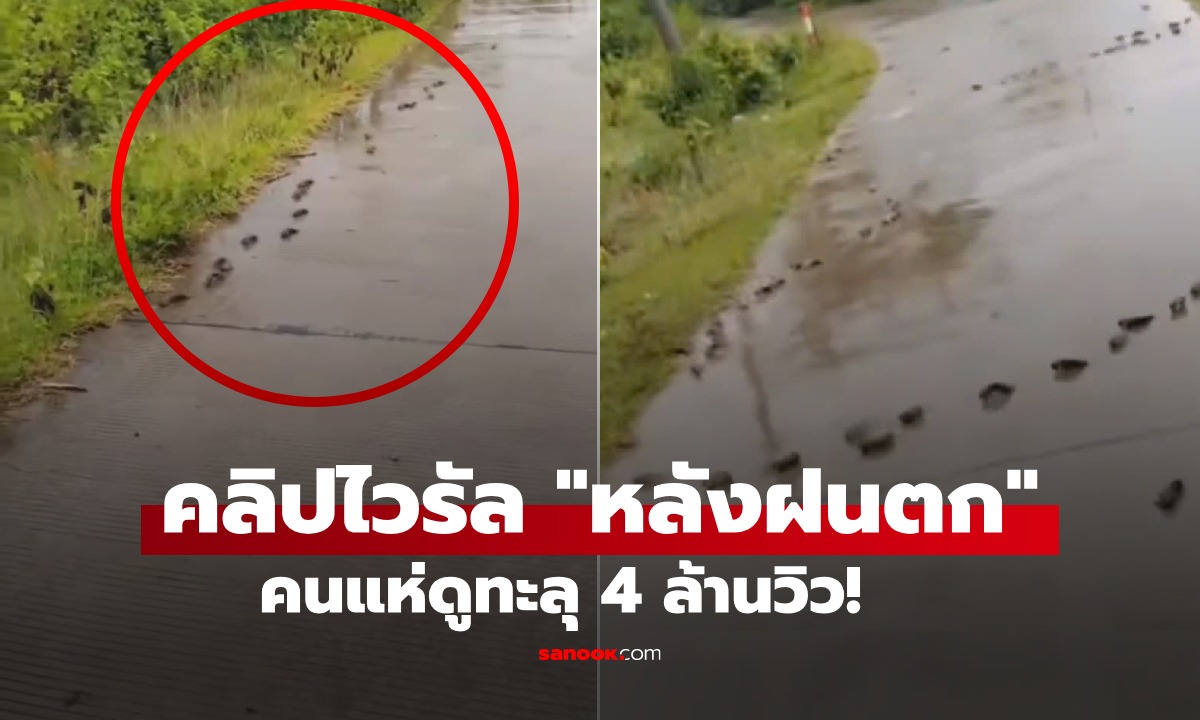 ลงปุ๊บคนดูเป็นล้าน! คลิป 27 วินาที \
