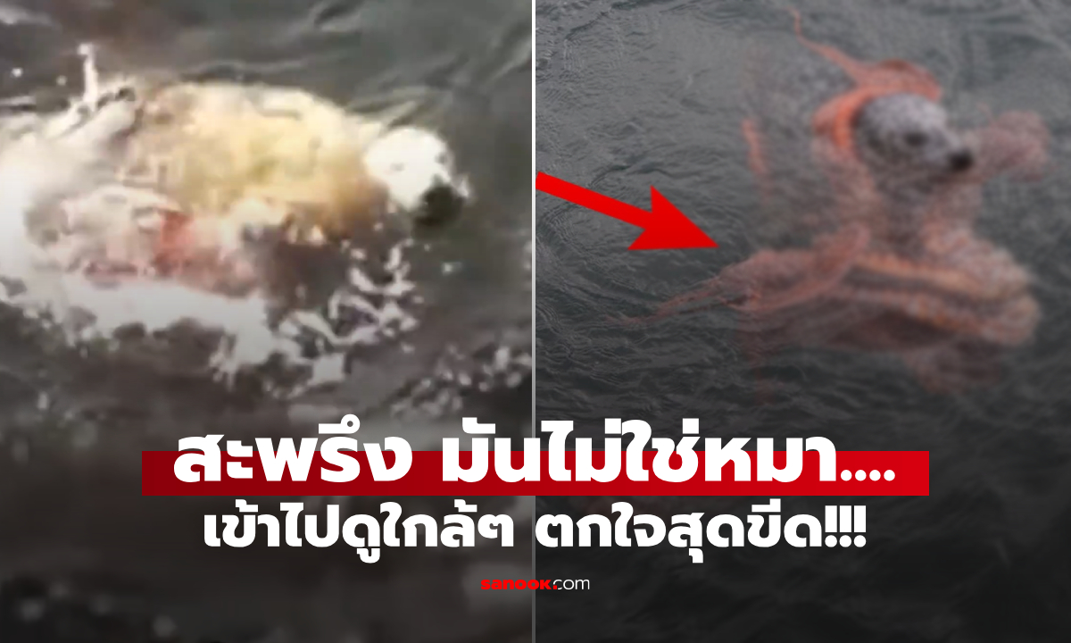 คลิปช็อกออนไลน์! หนุ่มรีบเข้าช่วย \