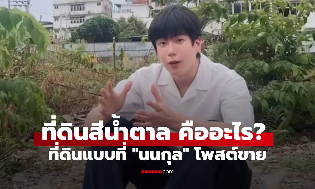 ที่ดินสีน้ำตาล คืออะไร? ที่ดินแบบที่ \