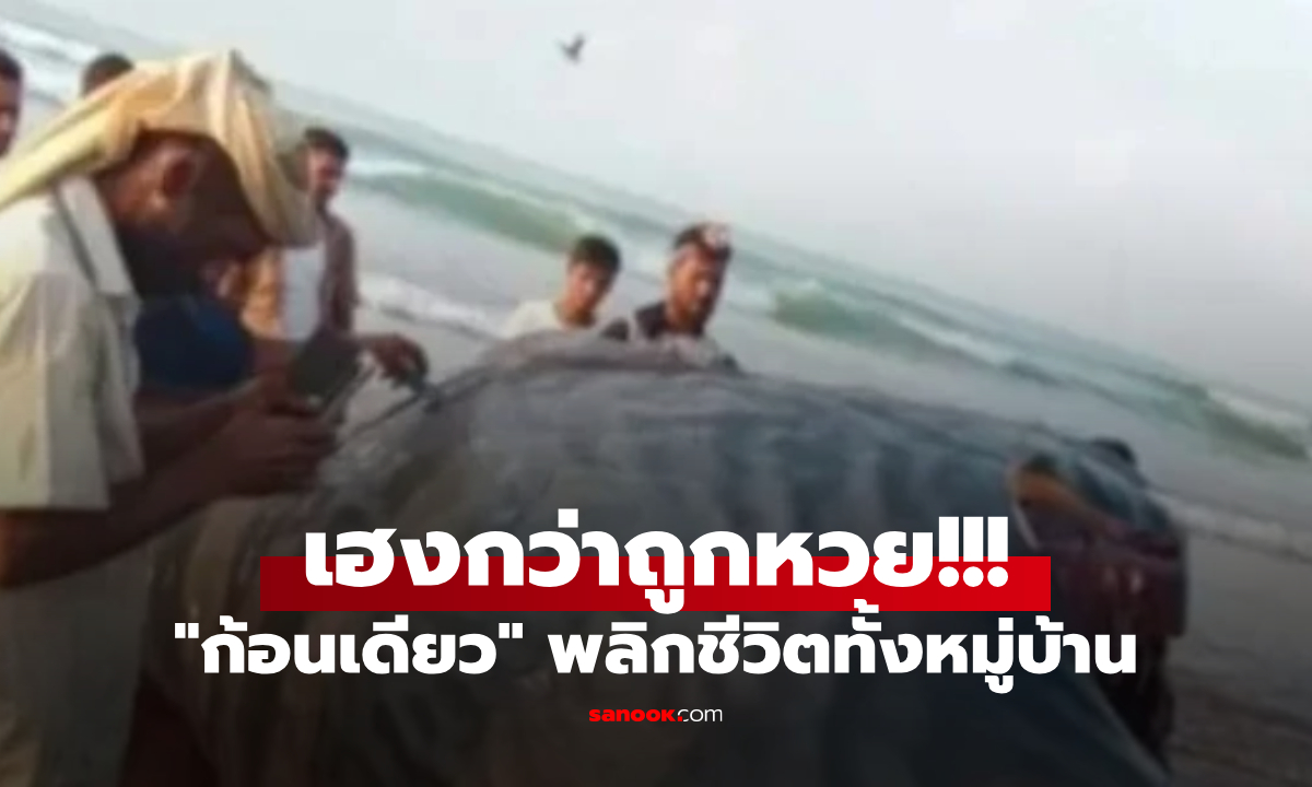 ผ่าท้องปลาเจอ \