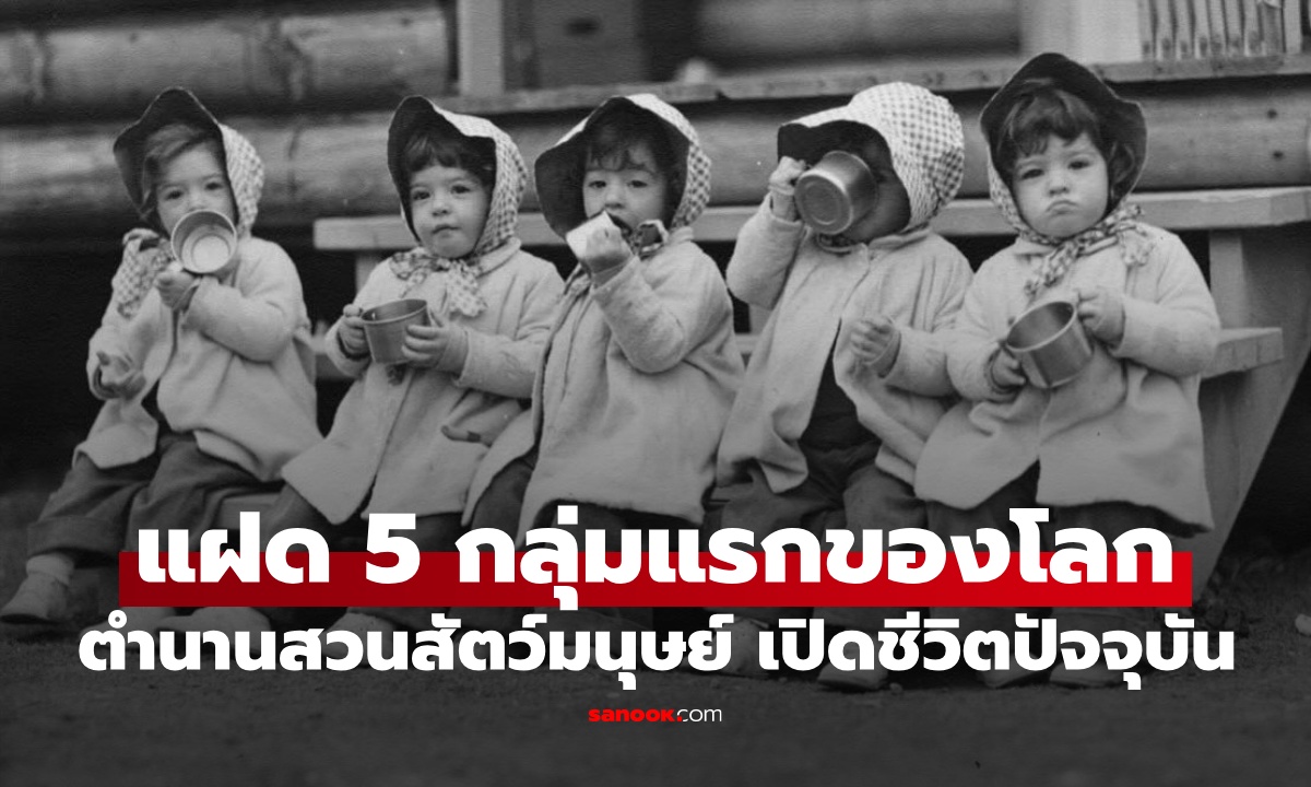 "แฝดห้า" กลุ่มแรกของโลก จากปาฏิหาริย์สู่สวนสัตว์มนุษย์ เปิดชีวิตปัจจุบัน
