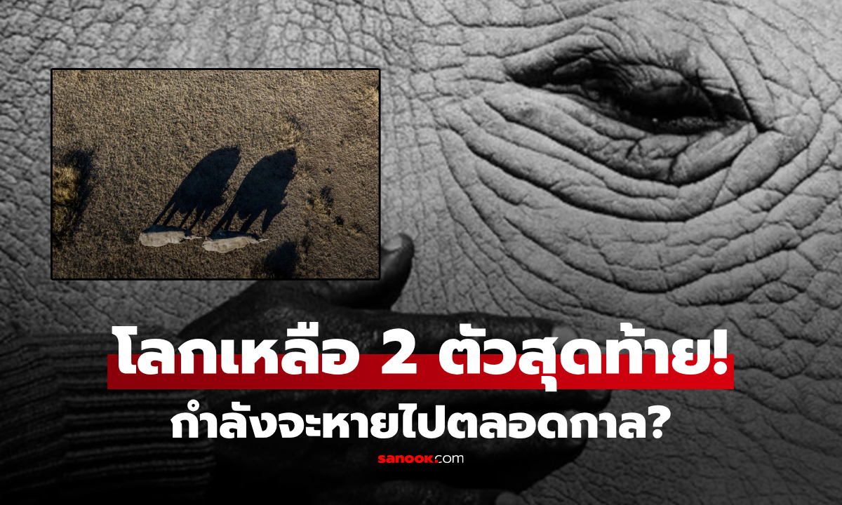 โลกเหลือแค่ 2 ตัว!!! เปิดภาพ \