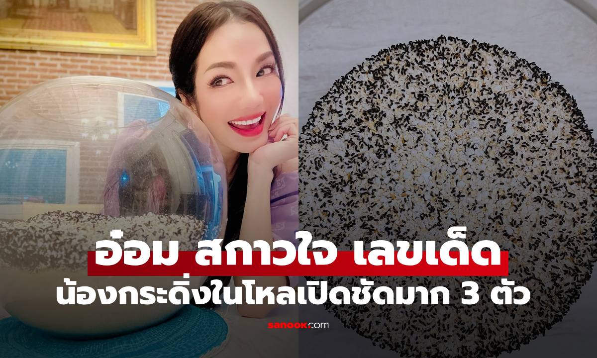 มาแล้ว \