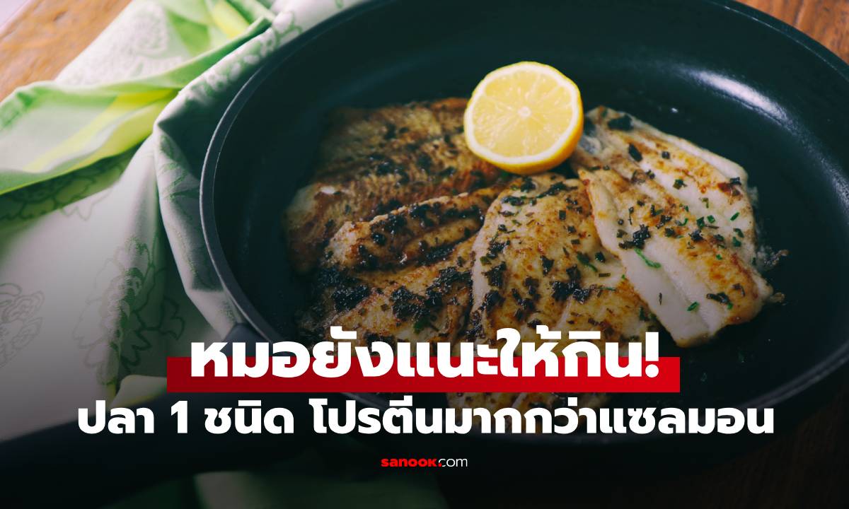 หมอยังแนะให้กิน! ปลา 1 ชนิด โปรตีนมากกว่าแซลมอน คนไทยได้ยินชื่อแล้วร้องอ๋อ