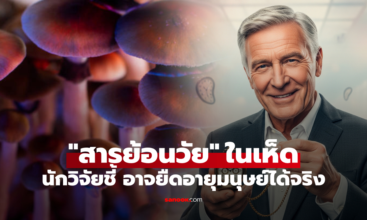 วิจัยพบ “ยาอายุวัฒนะ” อยู่ในเห็ดวิเศษ ยืดอายุเซลล์มนุษย์ 50% แต่หลายประเทศห้ามใช้!!!