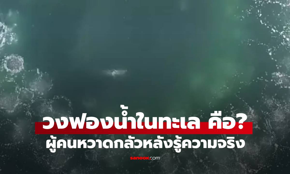 ผู้คนผงะ เมื่อรู้ความจริงว่า \