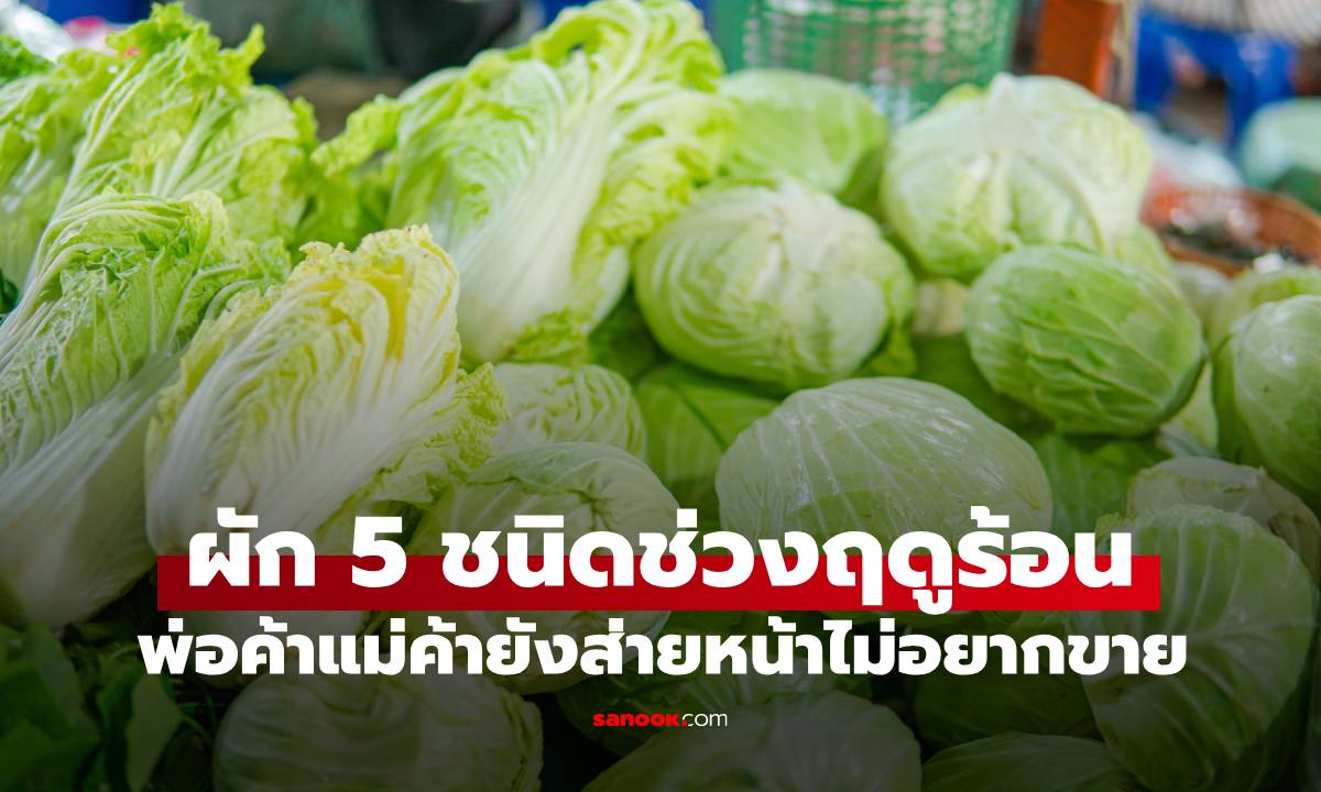 รู้ไว้ดีกว่า! ผัก 5 ชนิด ควรหลีกเลี่ยงในฤดูร้อน พ่อค้าแม่ค้ายังส่ายหน้าไม่อยากขาย