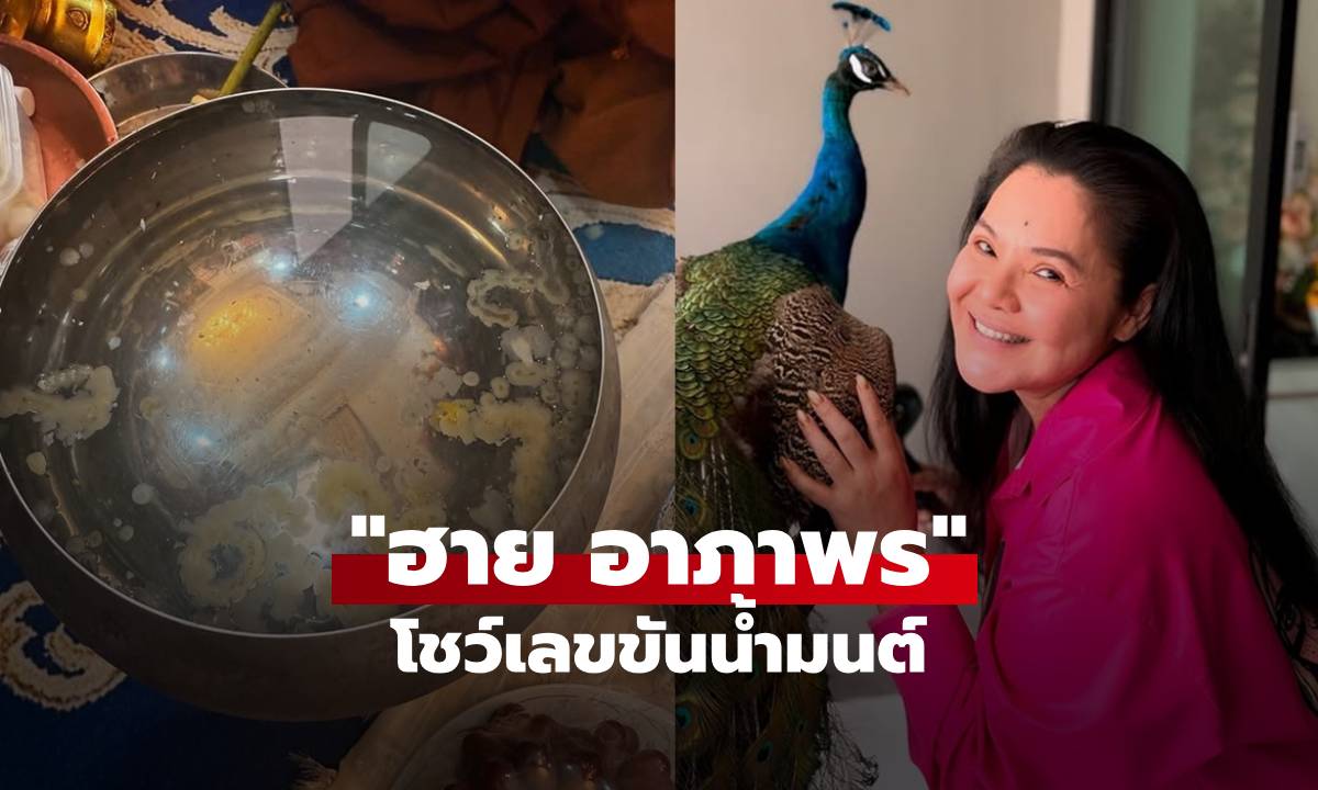 โค้งสุดท้าย! \