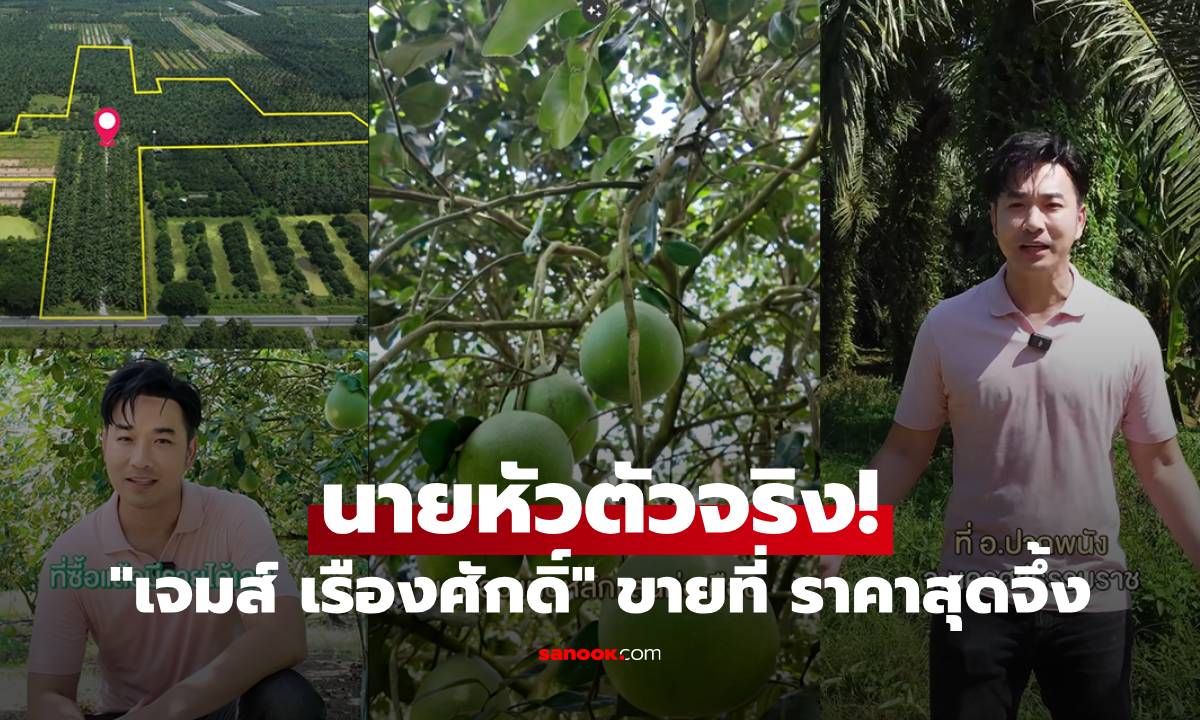 นายหัวตัวจริง! \