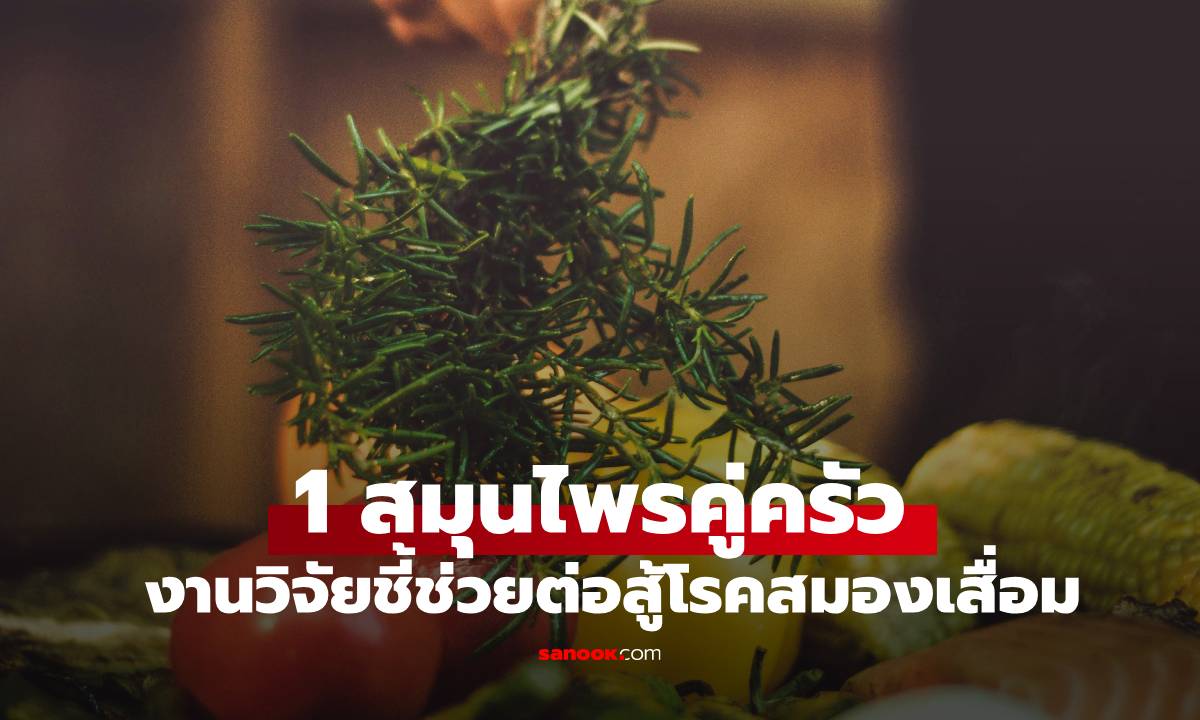 ที่ไทยมี! 1 สมุนไพรคู่ครัว แพทย์โบราณ-งานวิจัย ยืนยันช่วยป้องกัน \
