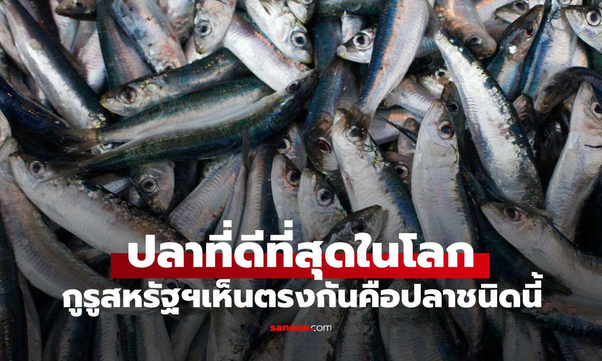 ปลา 1 ชนิดที่ถูกยกย่องว่า \