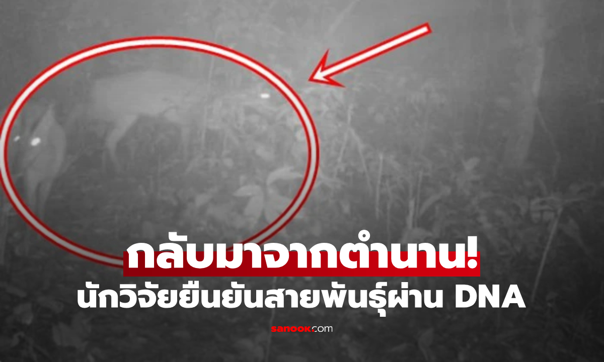 กลับมาจากตำนาน! \