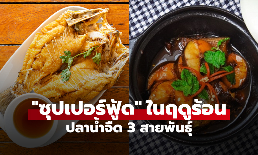 แซลมอนหลบไป! อวยยศ 3 ปลาน้ำจืด \