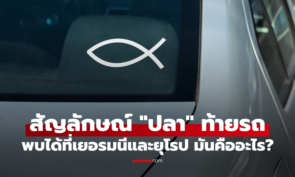 หมายความว่าอะไร? สัญลักษณ์รูป \