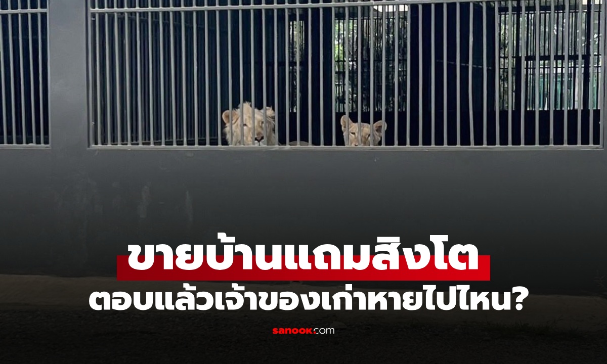 ฮือฮา ประกาศขายบ้านที่เชียงใหม่ \