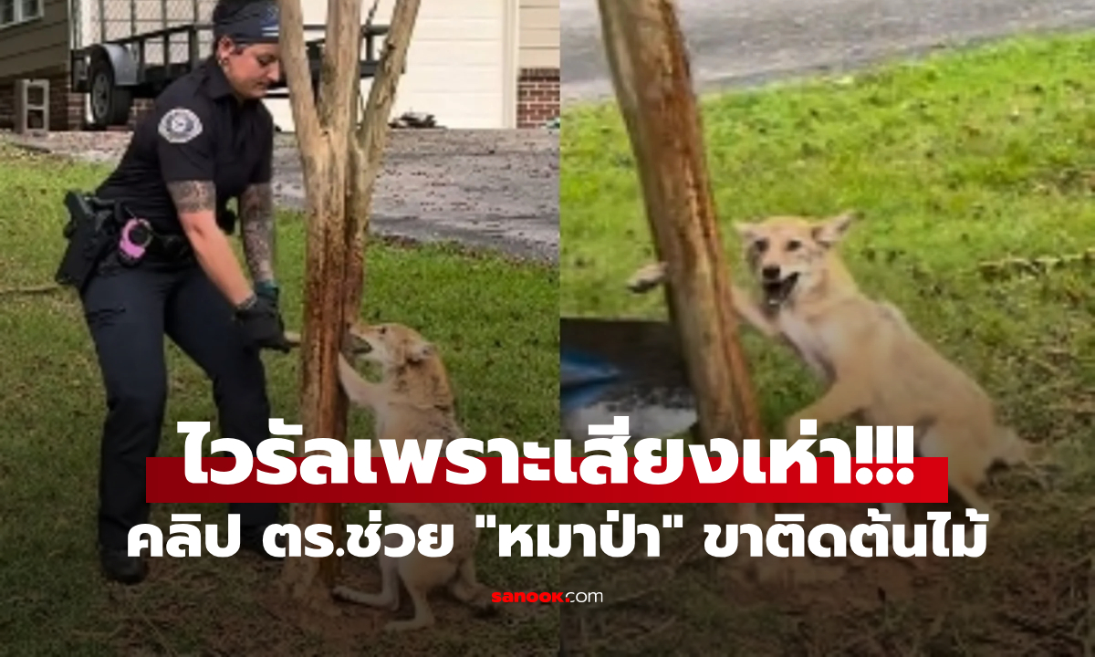 คลิปไวรัล \