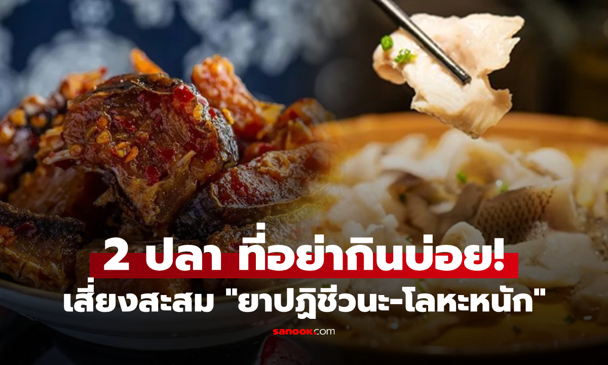 เตือน! ปลา 2 ชนิด ที่ไม่ควรกินบ่อย เสี่ยงสะสม \