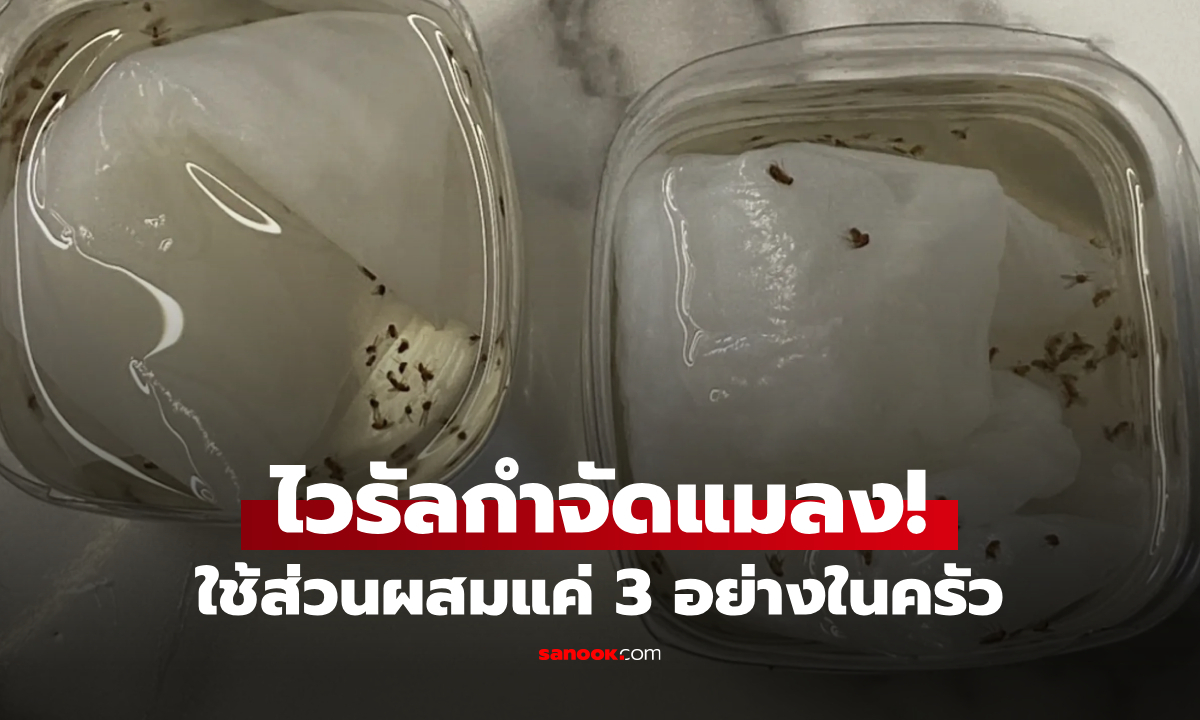 หมดรำคาญ!!! ไวรัลสูตรน้ำ \