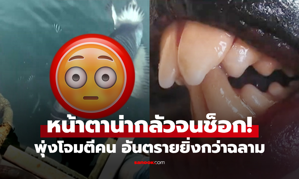 น่ากลัวมาก! เผยโฉมสะพรึง \