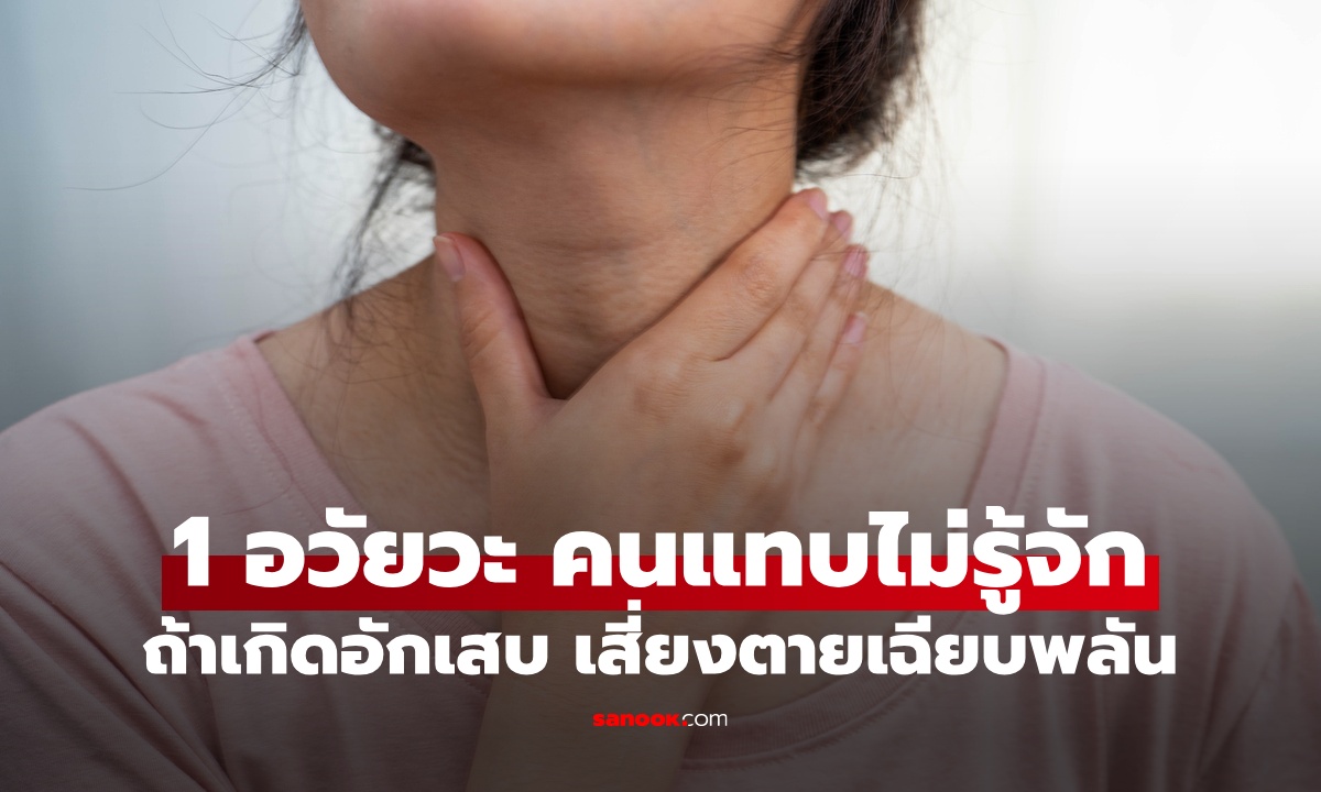 อวัยวะ 1 ส่วนในร่างกาย คนส่วนใหญ่ไม่รู้จัก ถ้าเกิด \