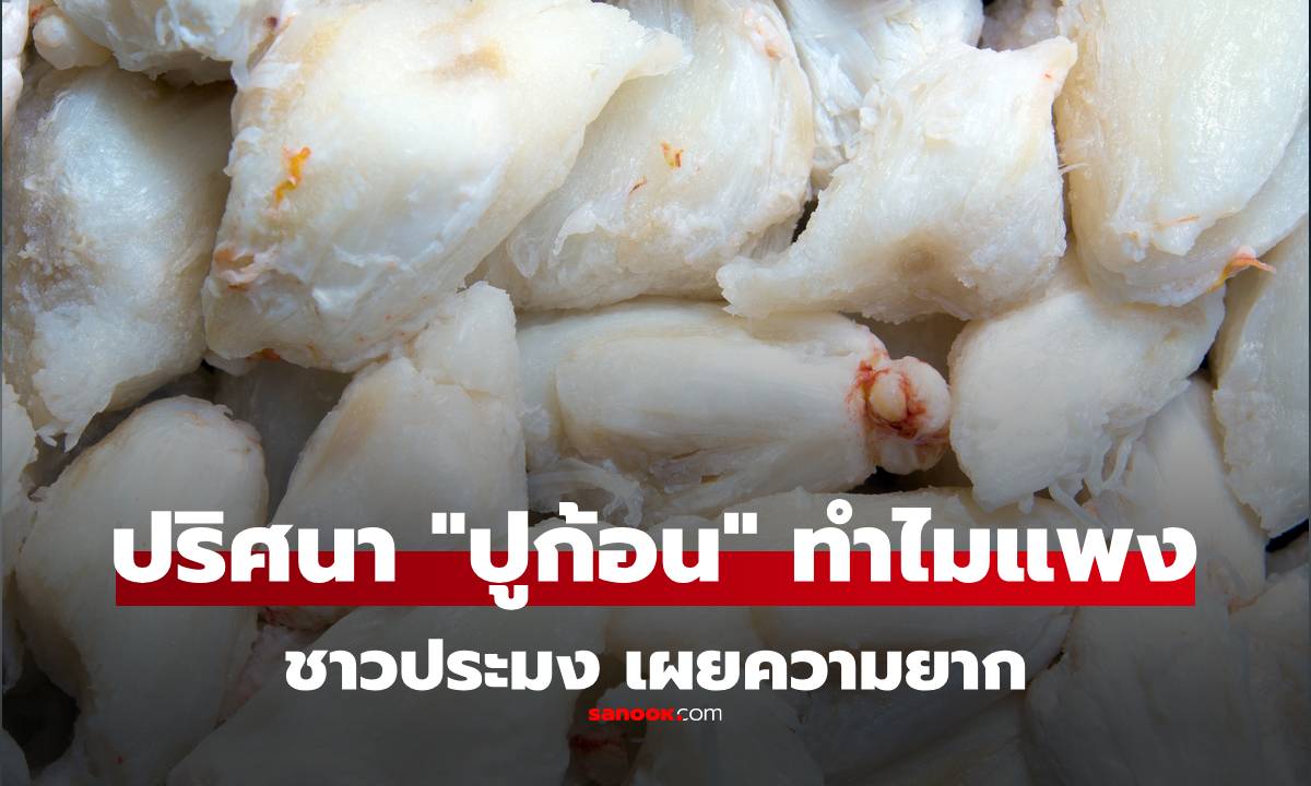 เผยปริศนา \