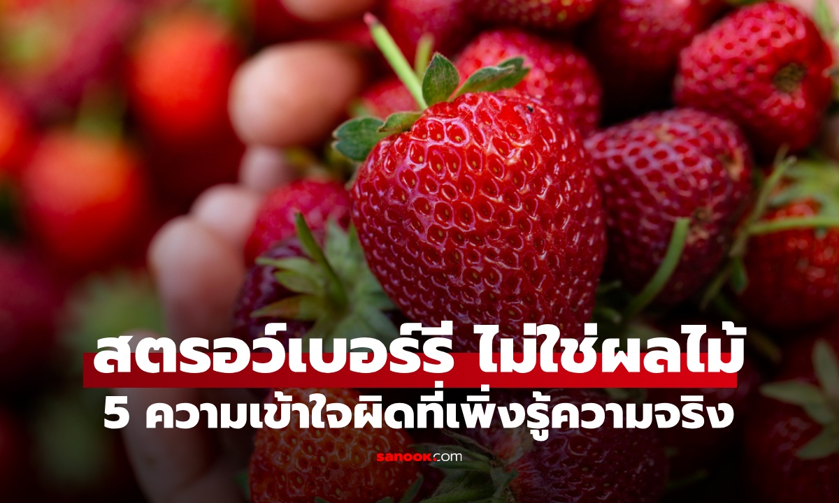 5 ความเข้าใจผิดเรื่อง \