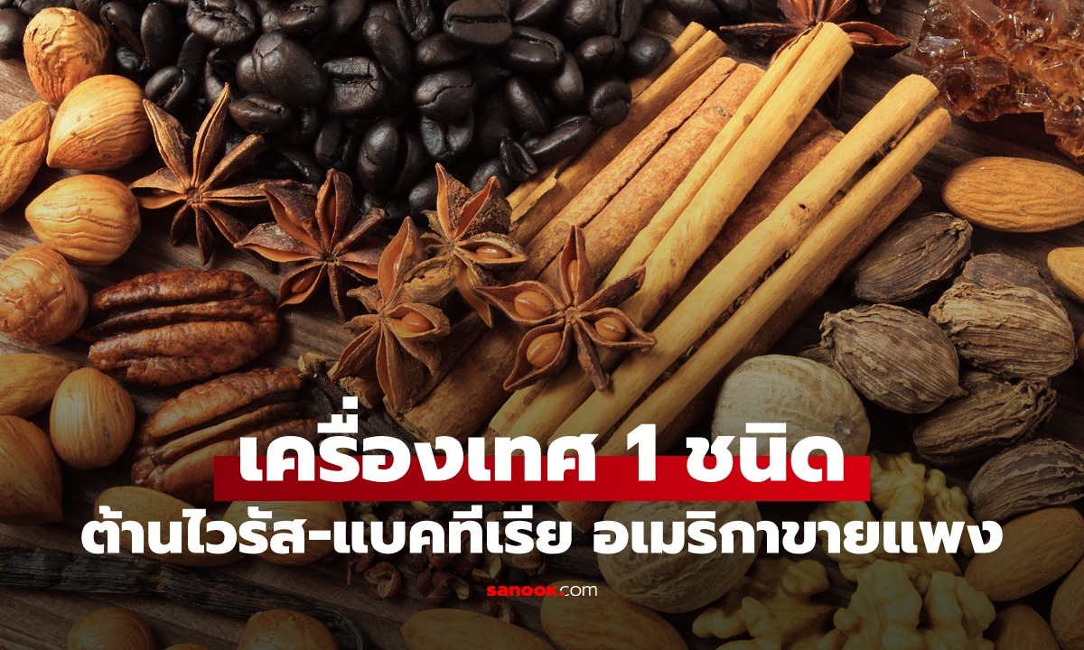 เครื่องเทศ 1 ชนิด ดาวเด่นสรรพคุณล้ำค่า ฤทธิ์ต้านไวรัส-แบคทีเรีย ทั่วโลกต้องการ