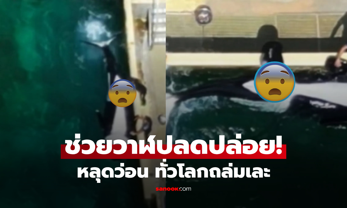 น่าตกใจ! หลุดว่อน จนท.ช่วยปลดปล่อย \