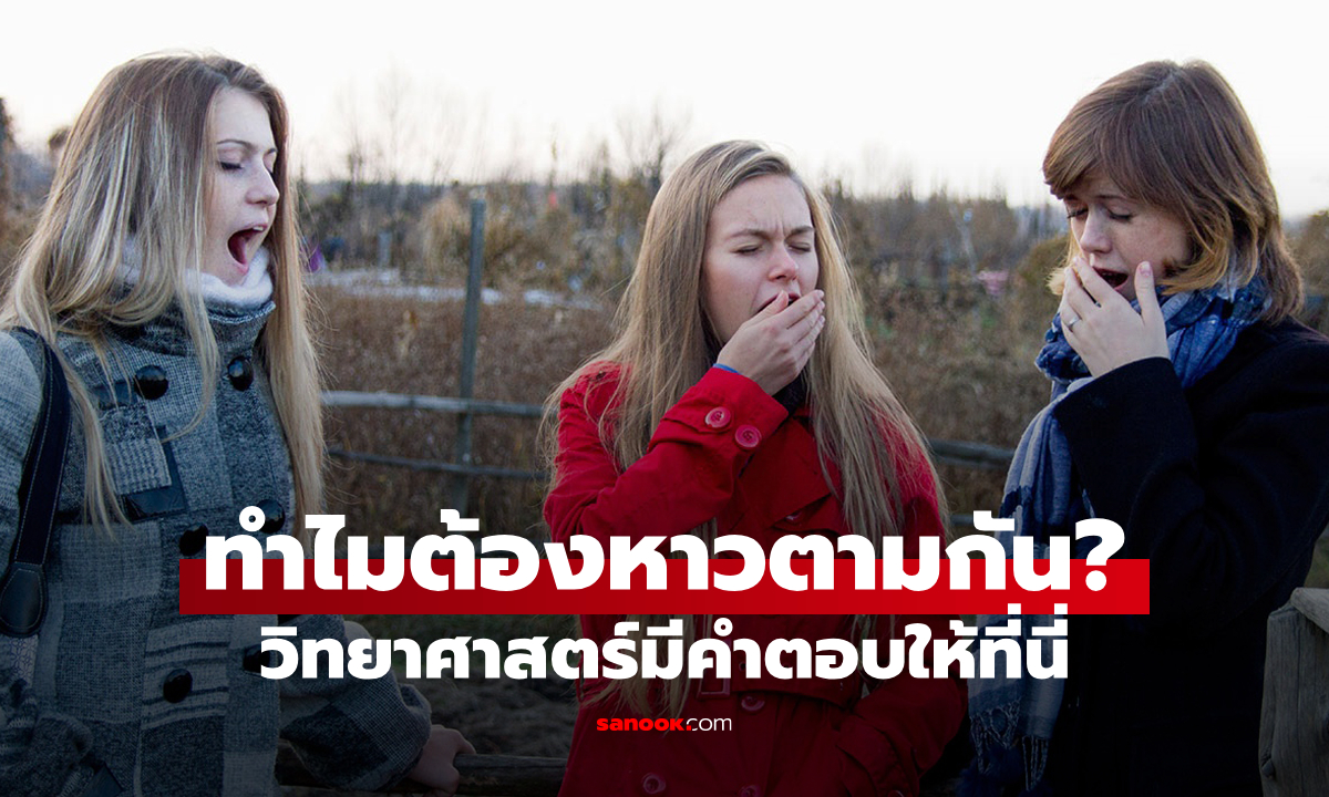 วิทยาศาสตร์มีคำตอบ: ทำไมส่วนใหญ่เราถึงหาวตามเมื่อเห็นคนอื่นหาว?