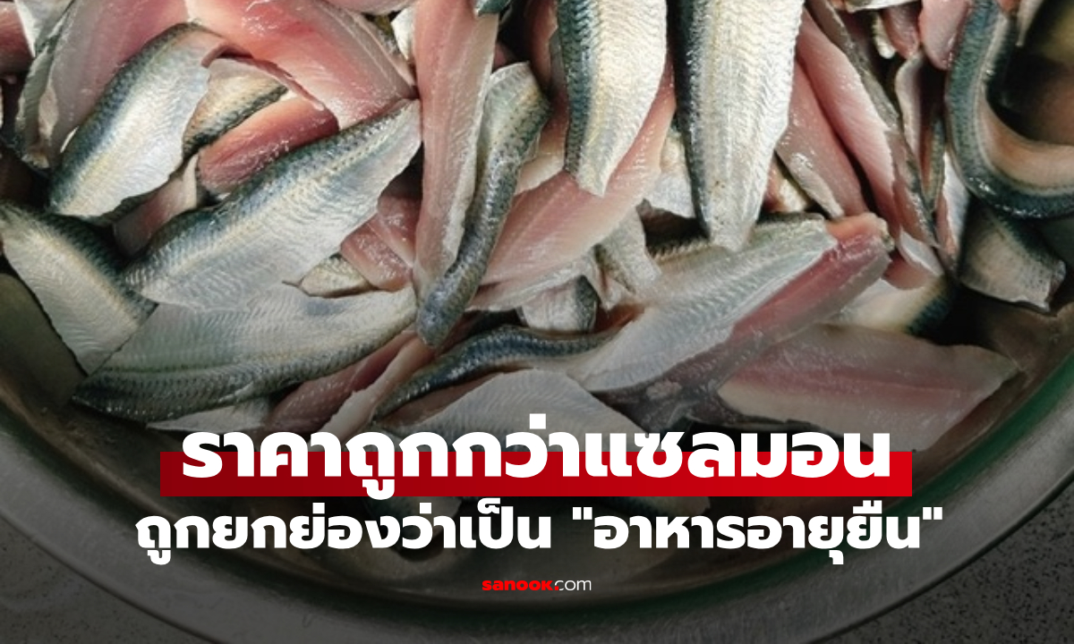 ถูกกว่าแซลมอน! ปลาชนิดนี้ขึ้นชื่อว่า \