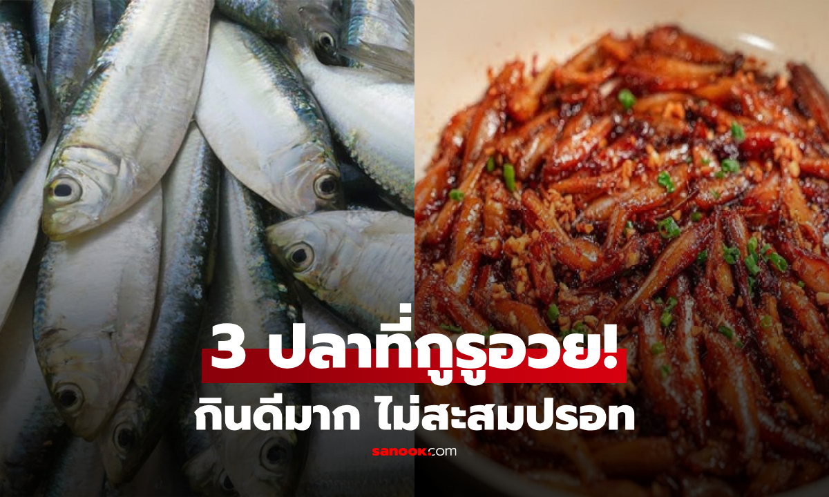อเมริกาจัดอันดับ \