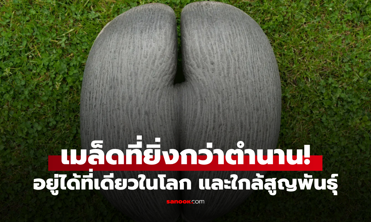 พืชนี้มีจริง! \