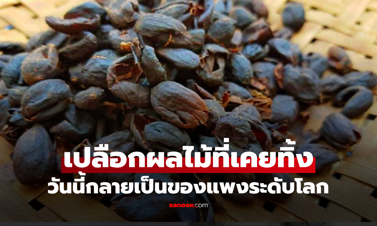 เปลือกผลไม้ที่เคยทิ้ง กลายเป็นที่ต้องการ แปรรูป \