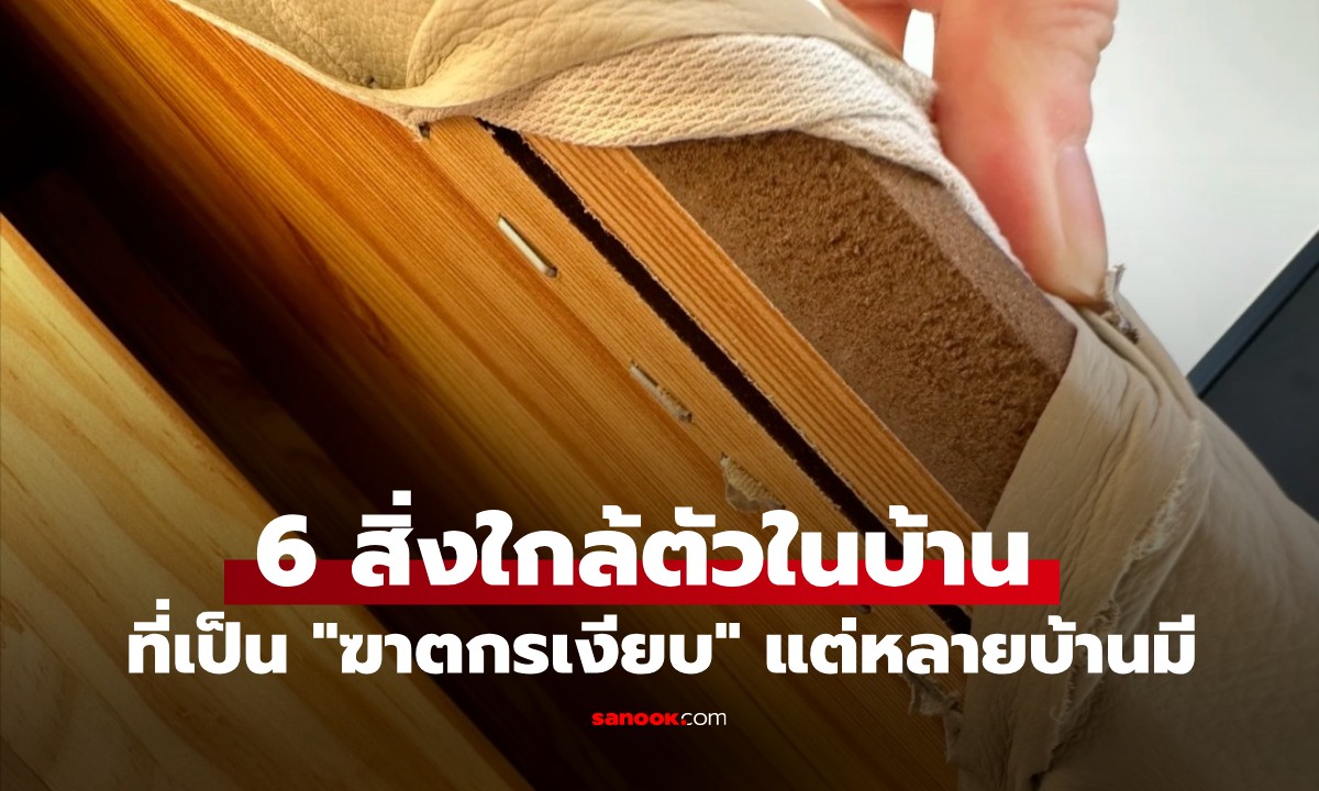 กูรูเตือน! 6 สิ่งใกล้ตัวในบ้าน ที่เป็น \