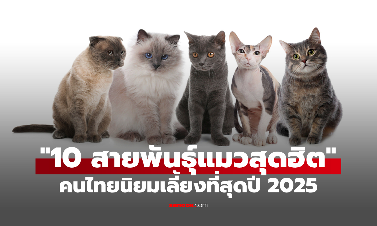 อัปเดต \
