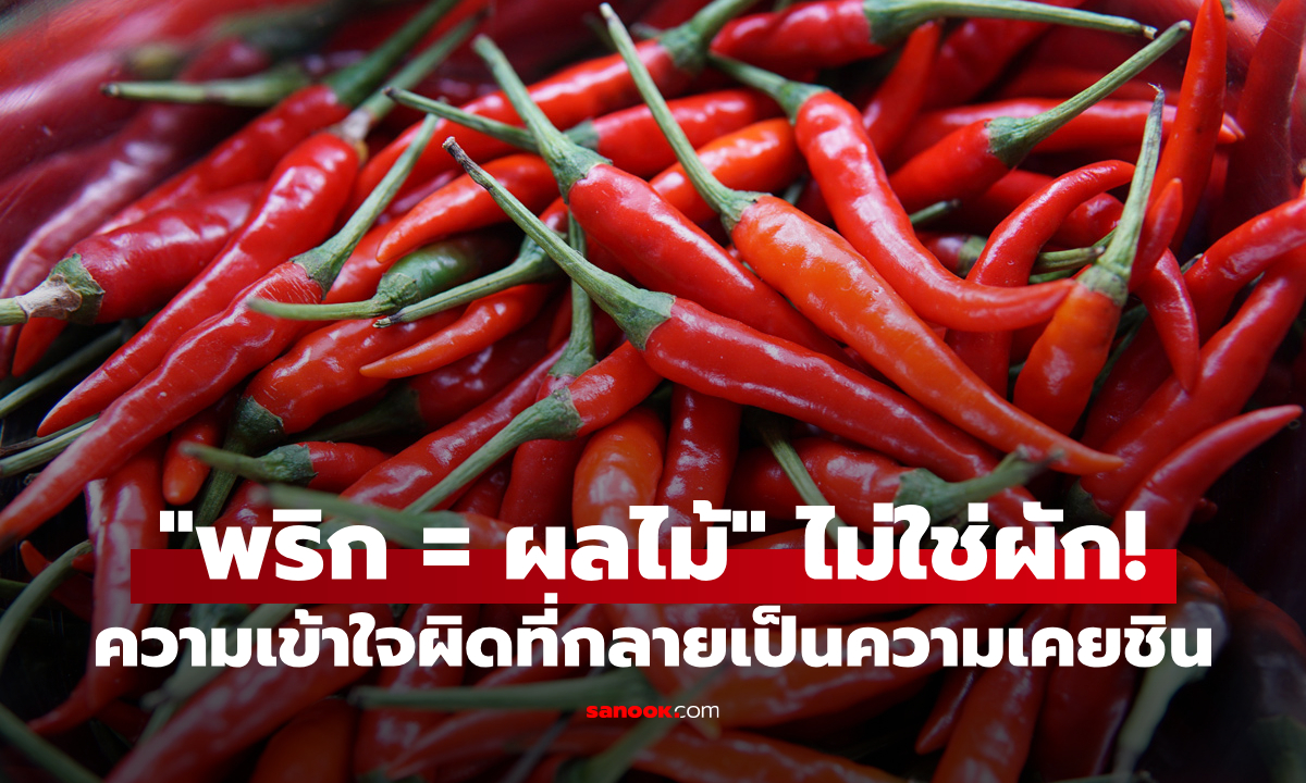 จำผิดมาทั้งชีวิต! \
