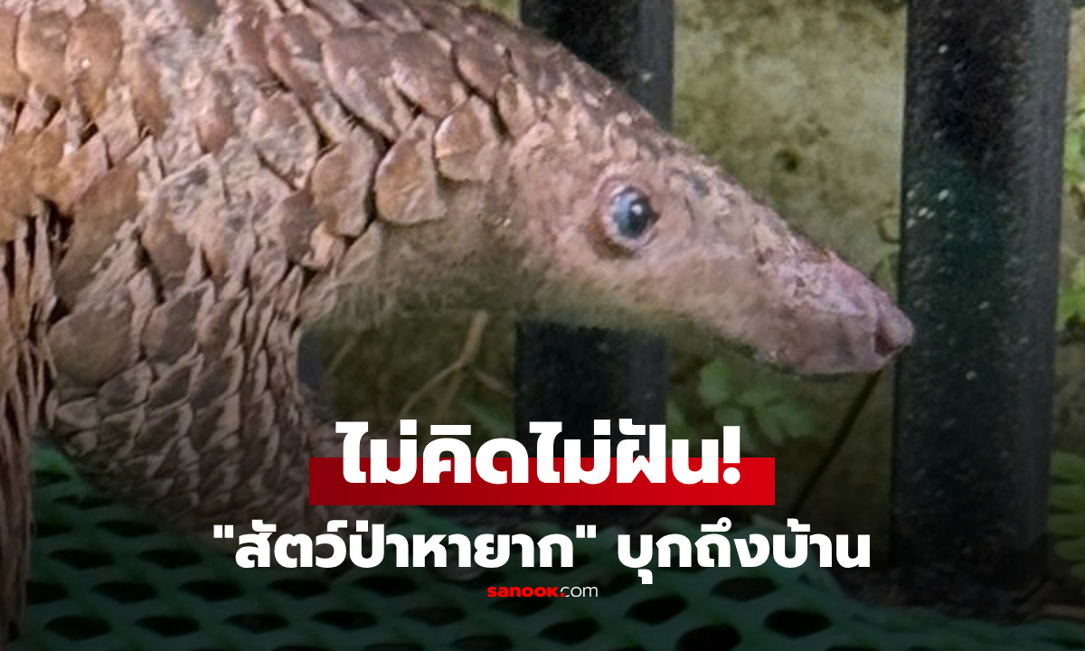 มนุษย์สะพรึง! \