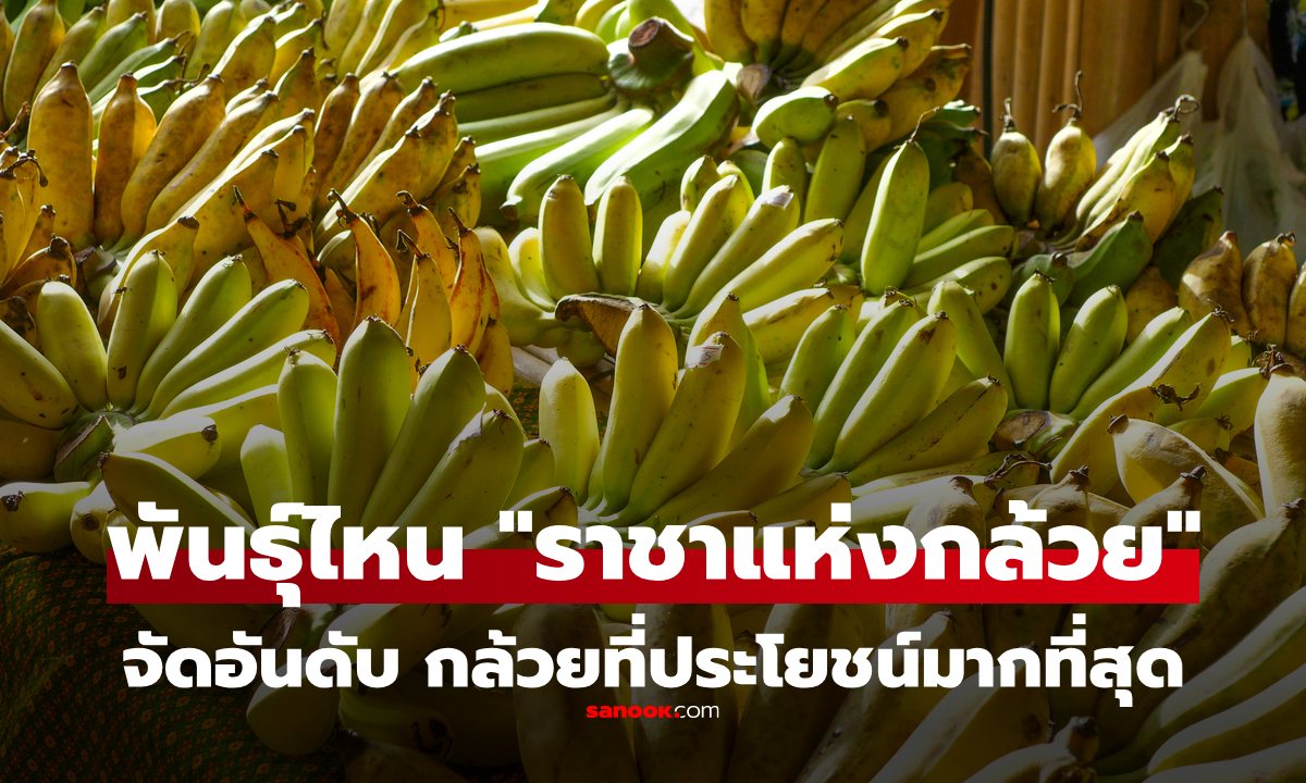 กล้วยพันธุ์ไหน คือ \