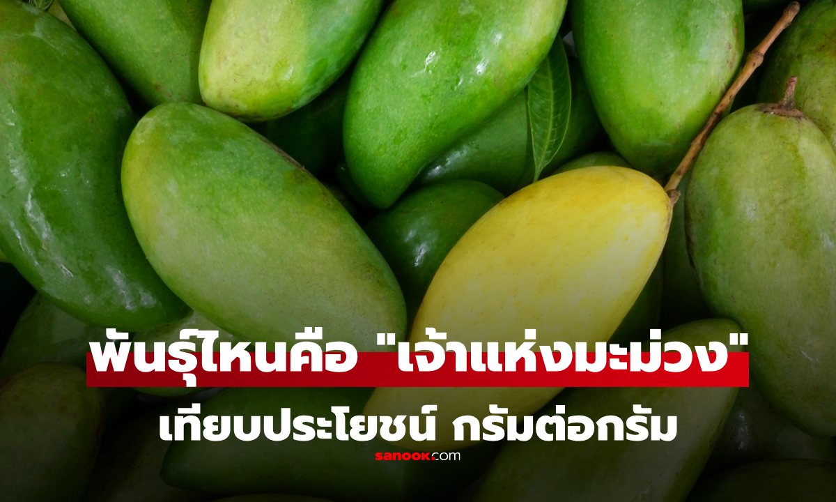 "ราชาแห่งมะม่วง" คือพันธุ์ไหน? เทียบสารอาหารกรัมต่อกรัม และข้อควรระวังที่คนมักมองข้าม