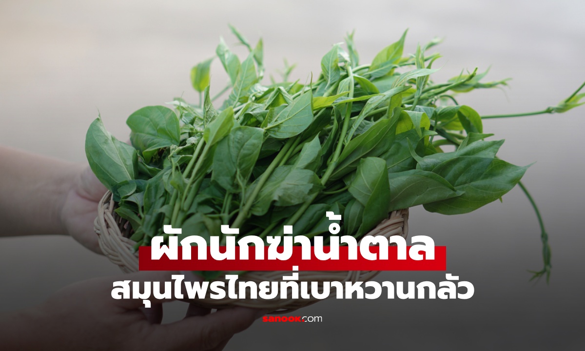 ผักนักฆ่าน้ำตาล สมุนไพรไทย 1 ชนิดที่เบาหวานกลัว นักวิจัยญี่ปุ่นยกย่องสรรพคุณ