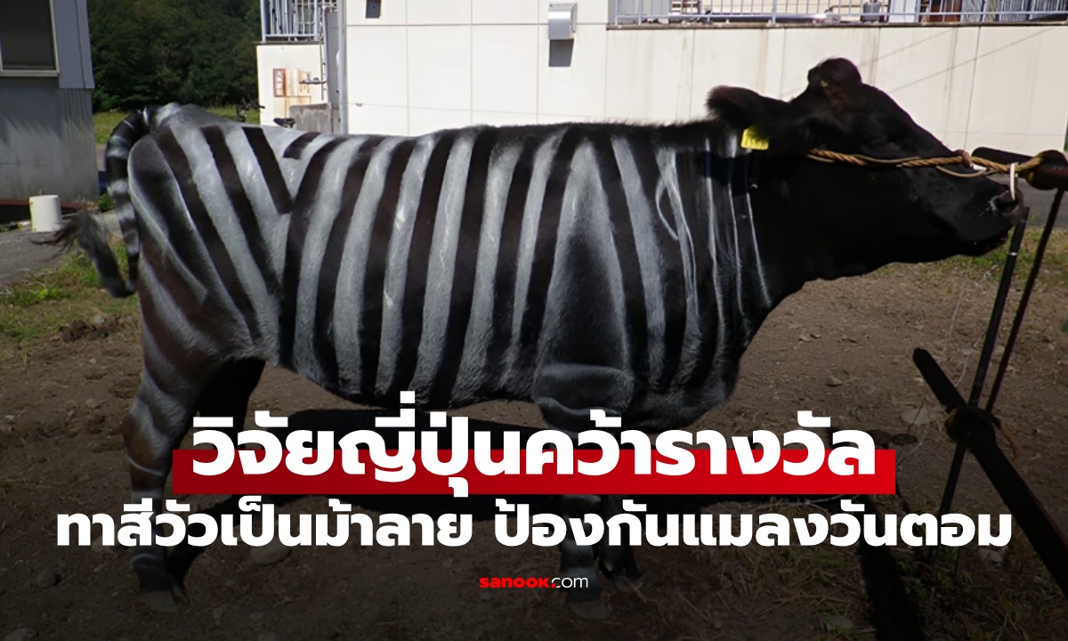 นักวิจัยญี่ปุ่นคว้ารางวัล \
