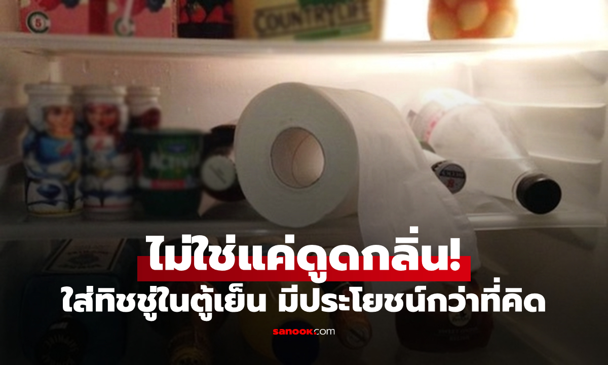 ทำไมควรใส่ทิชชู่ในตู้เย็น? ไม่ใช่แค่ช่วยดูดกลิ่น มีประโยชน์น่าทึ่งกว่านั้น ทริคแม่บ้านตัวจริง!