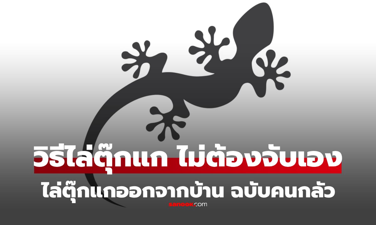 (ไม่มีรูปตุ๊กแก) 3 สิ่งที่ \