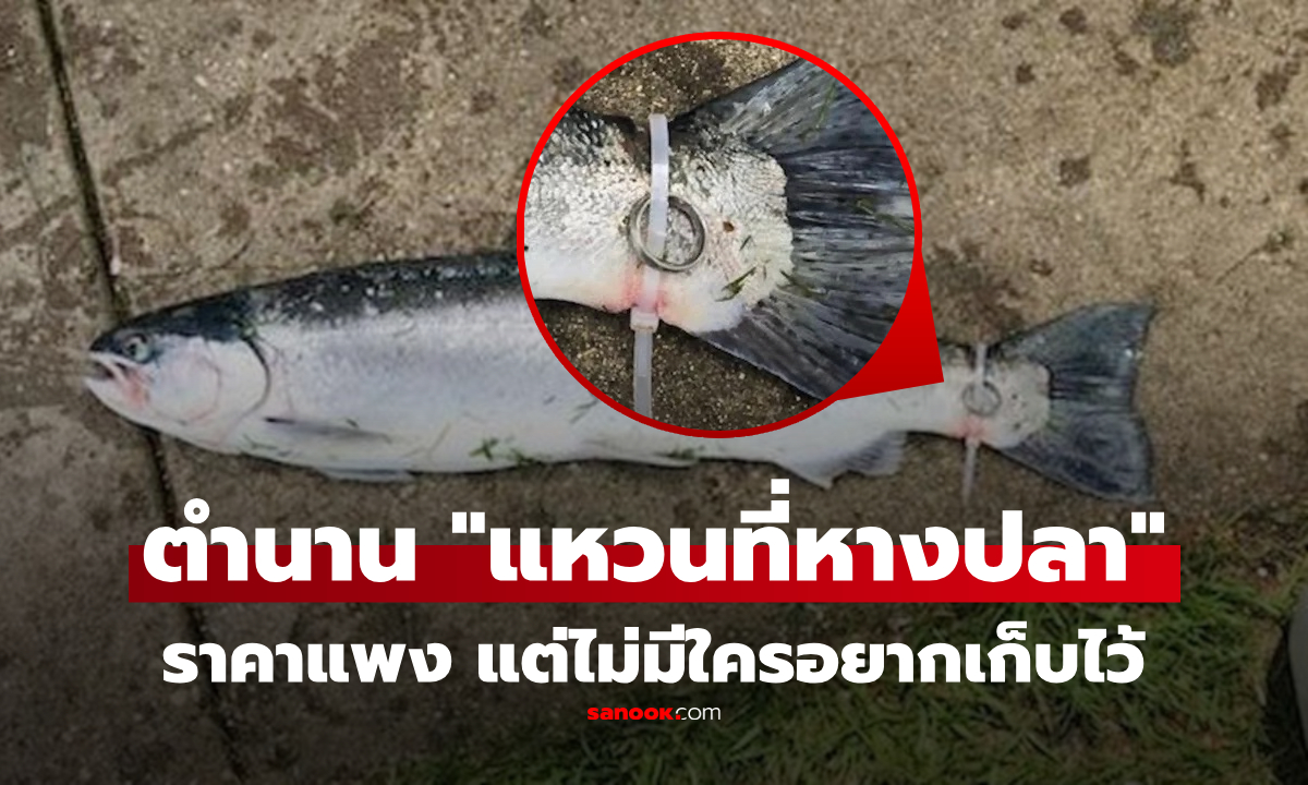 ซวยทั้งเรือ! ตกได้ปลาใส่ \