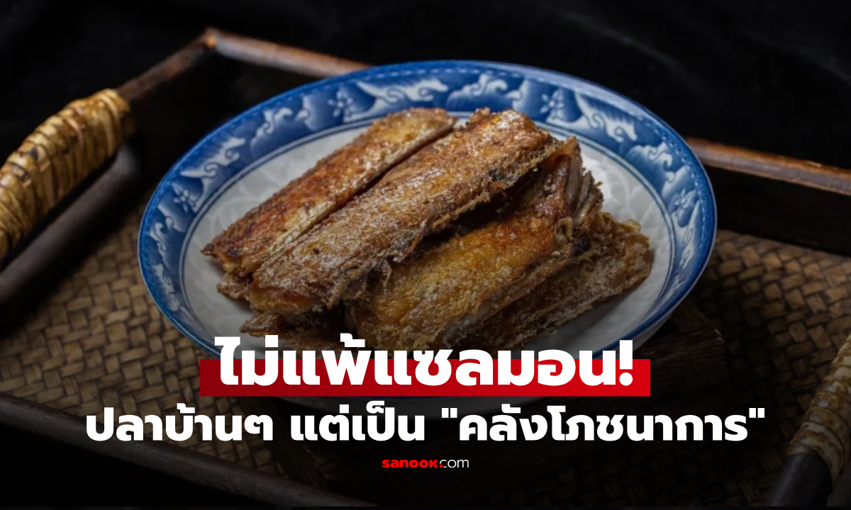 สุดเซอร์ไพรส์! ปลาบ้านๆ กลับเป็น \