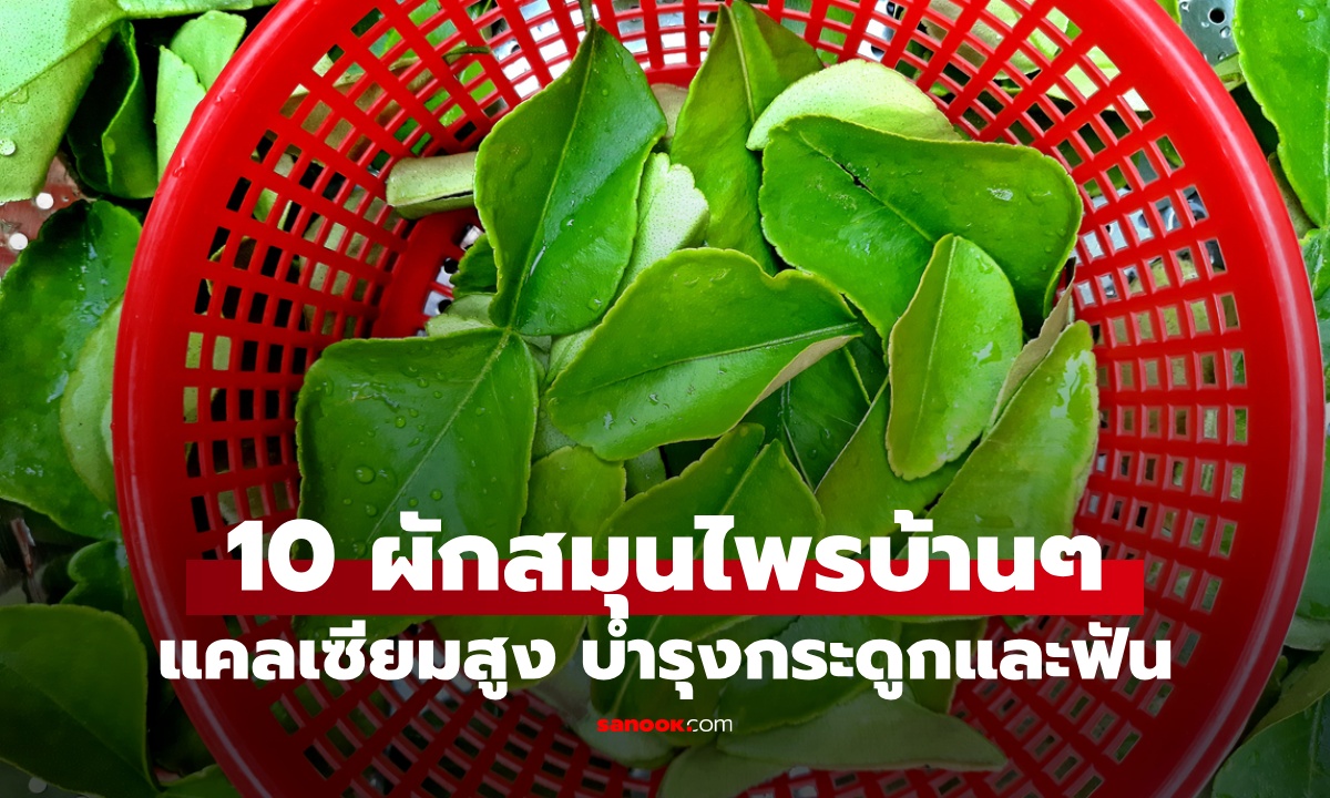 10 ผักสมุนไพรบ้านๆ แคลเซียมสูงไม่แพ้นม เสริมกระดูกและฟันให้แข็งแรง