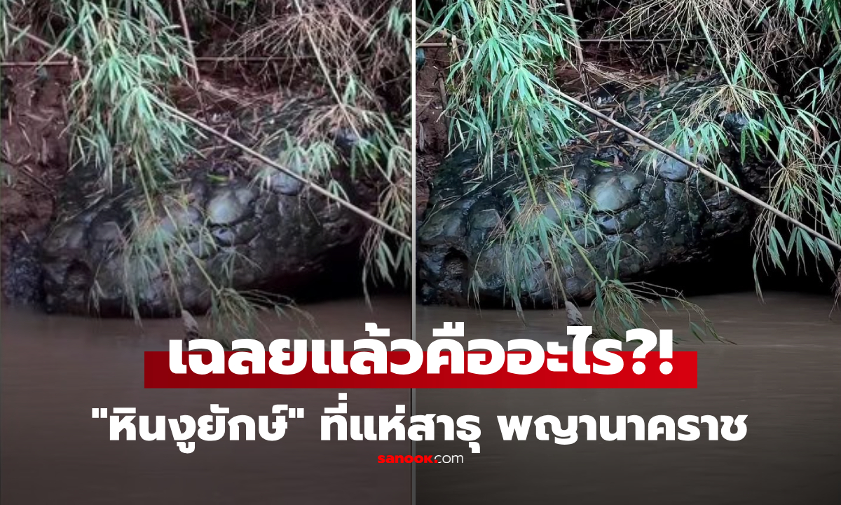 เฉลยแล้ว! \